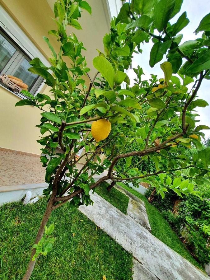 Apartamenty Rodzinne กาเมนาวูร์ลา ภายนอก รูปภาพ